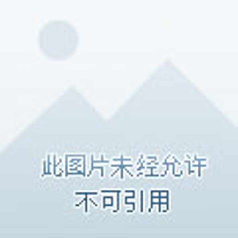 元宇宙开发：新时代的数字想象与创造